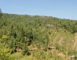 Rawalakot