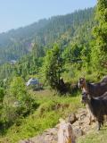 Rawalakot area