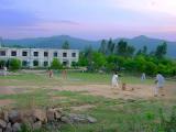 Cricket game in Sehnsa