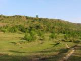 Village