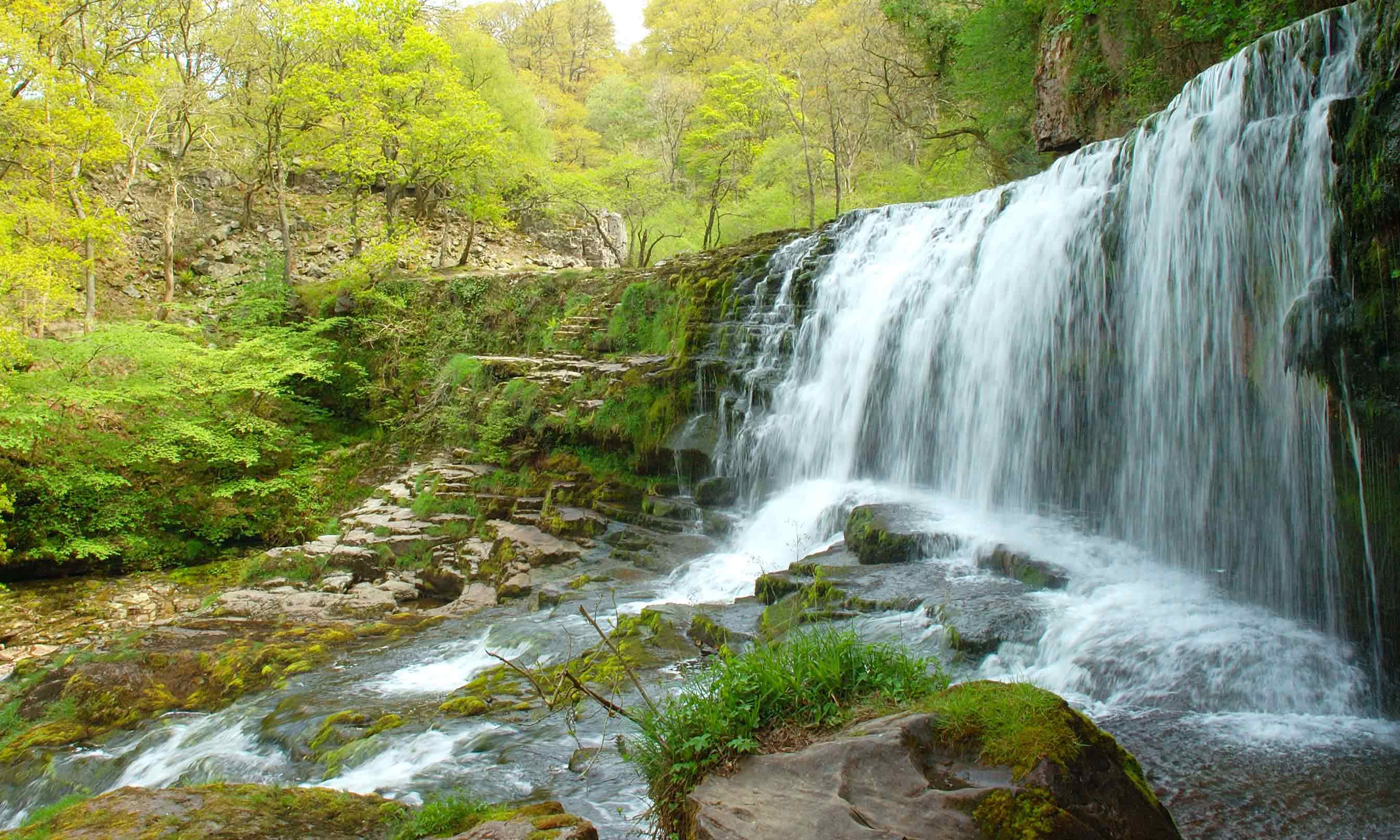 NewFoundWaterfall4Pbase.jpg