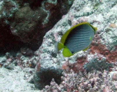 IMG_0062.jpg