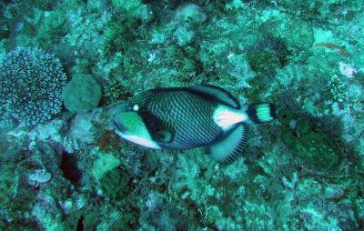 IMG_0214.jpg