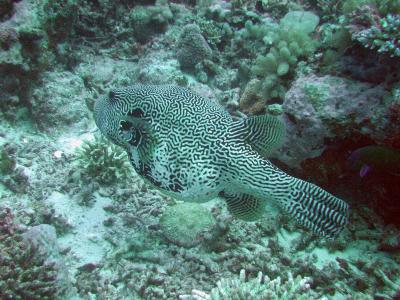 IMG_0229.jpg