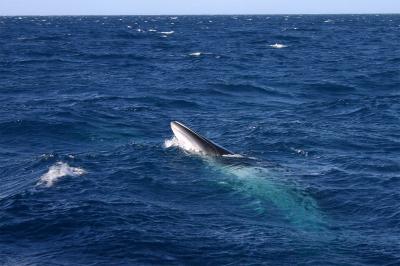 IMG_3836.jpg