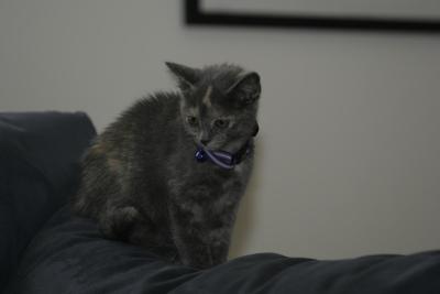 _MG_4011.JPG