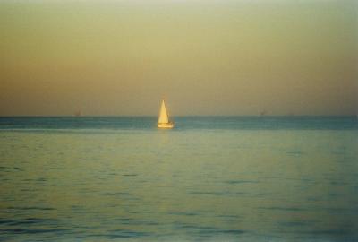 Sailboat.2004