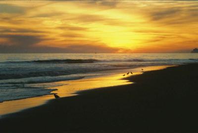 Beach Sunset 2004 1