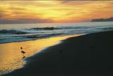 Beach Sunset 2004 3