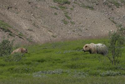 _MG_0403.jpg