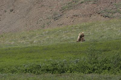_MG_0302.jpg