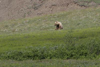 _MG_0303.jpg