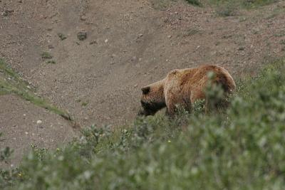 _MG_0315.jpg