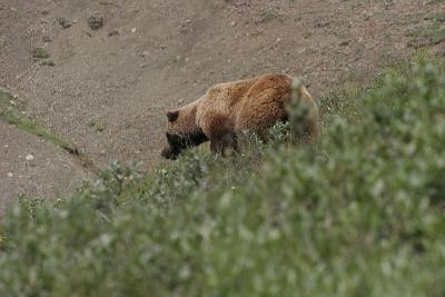 _MG_0317.jpg