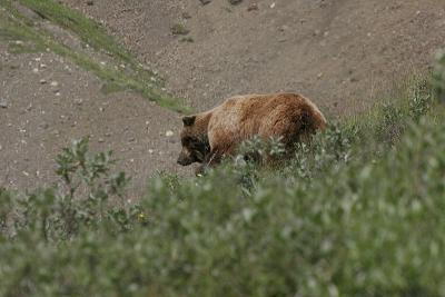 _MG_0320.jpg