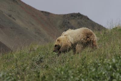 _MG_0325.jpg
