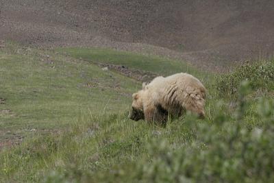 _MG_0329.jpg