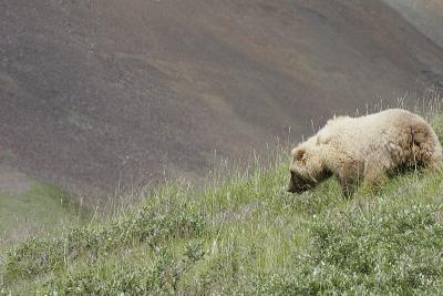 _MG_0330.jpg