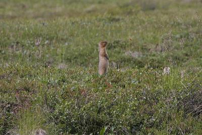 _MG_0342.jpg