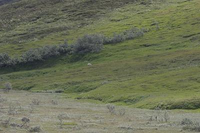 _MG_0343.jpg