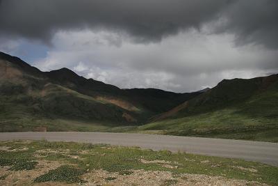 _MG_0356.jpg