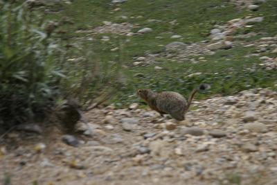 _MG_0360.jpg