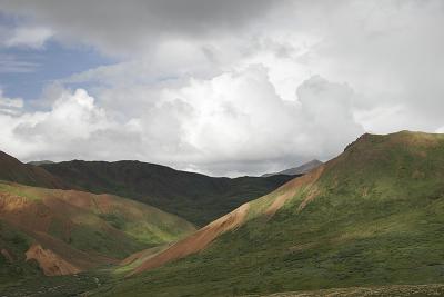 _MG_0371.jpg