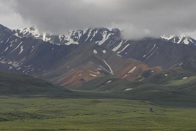 _MG_0222.jpg