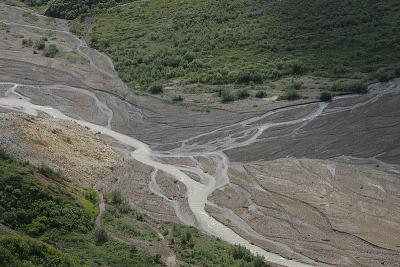 _MG_0247.jpg