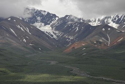 _MG_0248.jpg