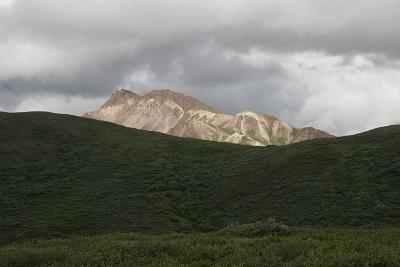 _MG_0255.jpg