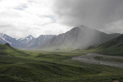 _MG_0262.jpg