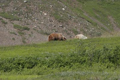 _MG_0273.jpg