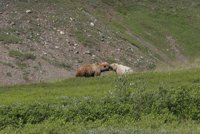 _MG_0274.jpg