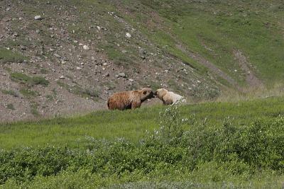 _MG_0276.jpg