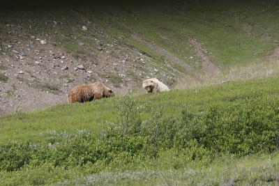 _MG_0280.jpg