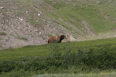 _MG_0287.jpg