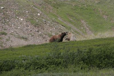 _MG_0291.jpg