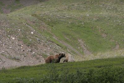 _MG_0292.jpg