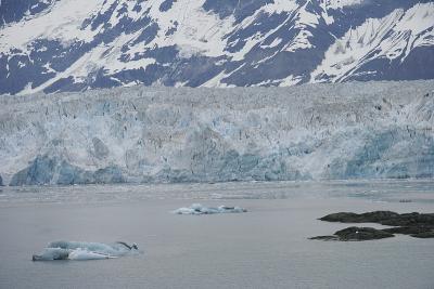 _MG_9932.jpg