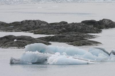 Humpbacks & Hubbard Glacier