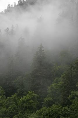 _MG_9544.jpg