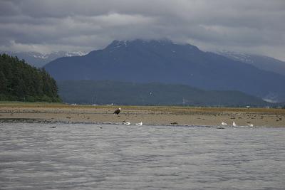 _MG_9552.jpg