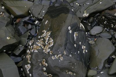 _MG_9605.jpg
