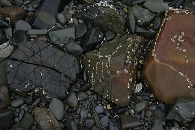 _MG_9608.jpg