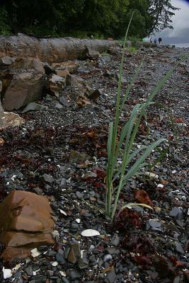 _MG_9609.jpg