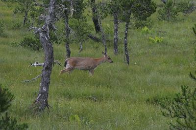 _MG_9627.jpg