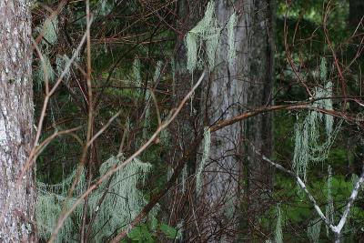 _MG_9638.jpg