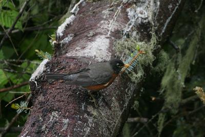 _MG_9663.jpg