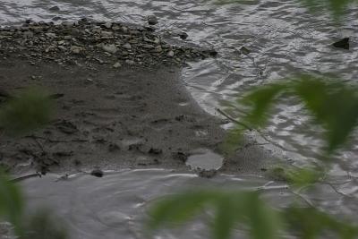 _MG_9668.jpg